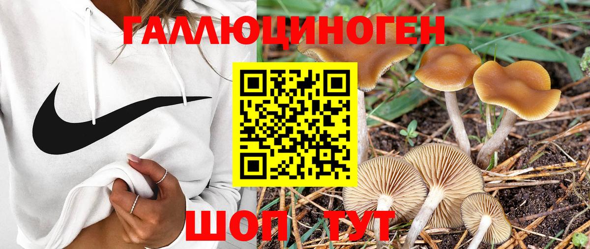 Галлюциногенные грибы Magic Shrooms  Псилоцибиновые грибы прущие грибы  Великий Новгород  Вход с VPN 